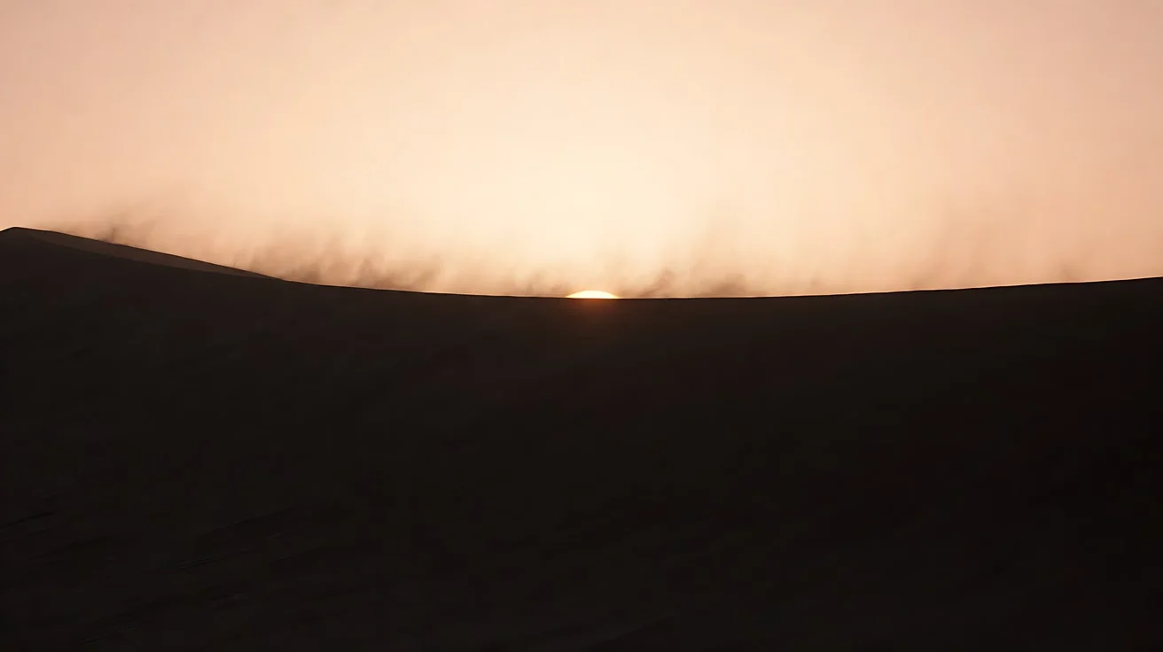 图2 场景